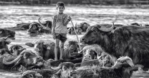 Diarreias prejudicam crescimento de crianças : Revista Pesquisa Fapesp