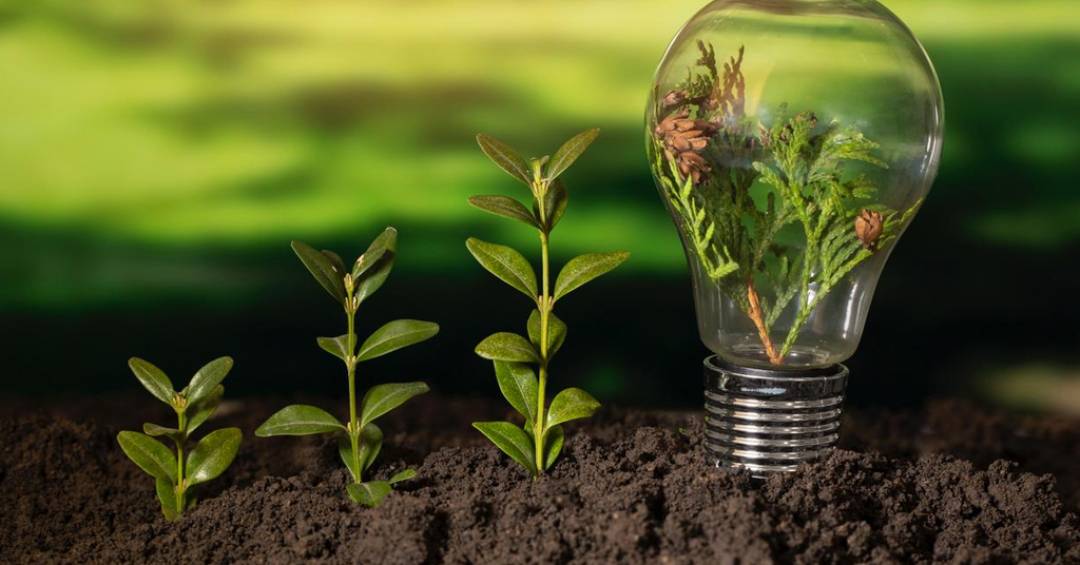 83% dos executivos já incluem metas e práticas ESG em seus planos de negócios