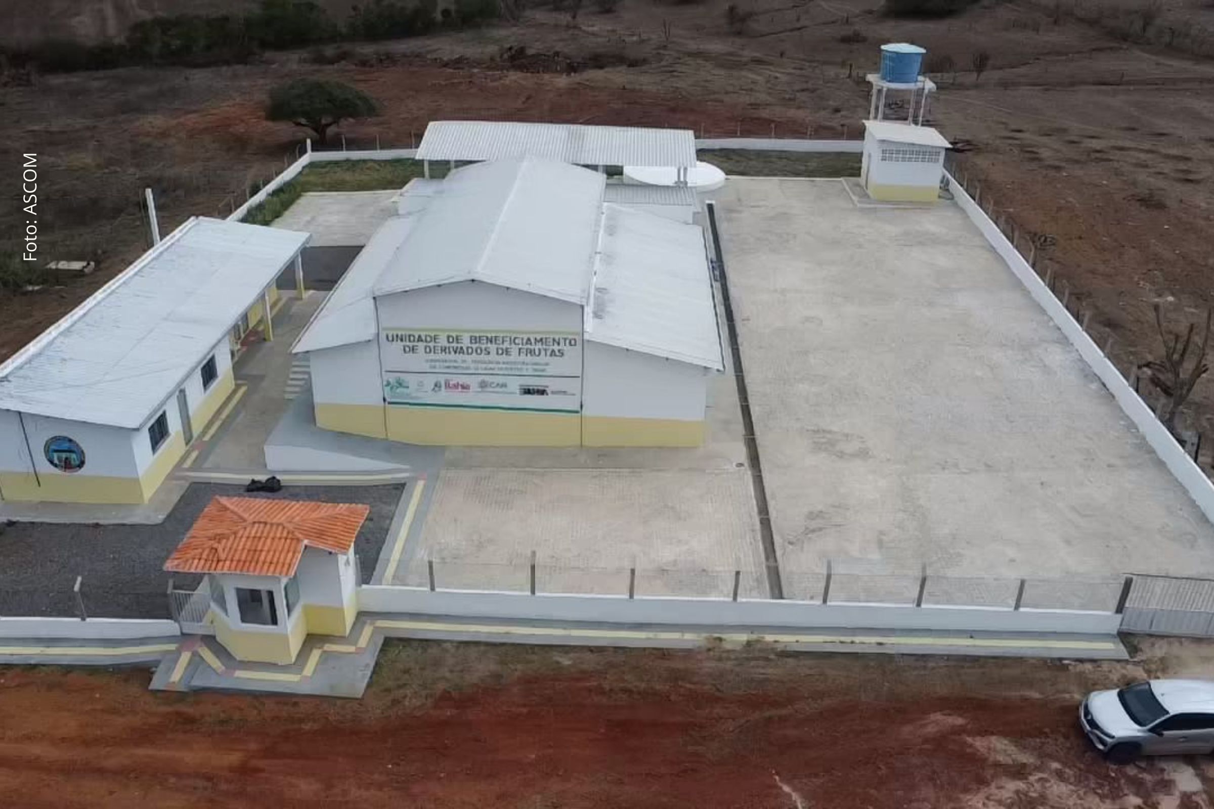 Agroindústrias familiares ampliam beneficiamento de frutas e licuri e fortalecem agricultura familiar em Tucano