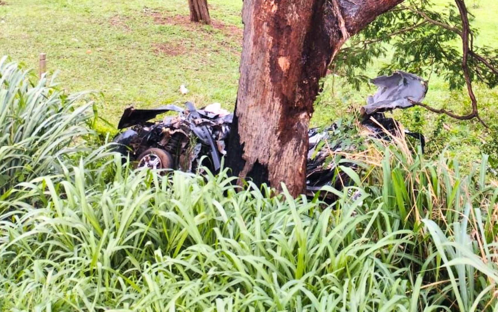 Avô e neta morrem em acidente, e objetos pessoais são furtados - G1 - Globo
