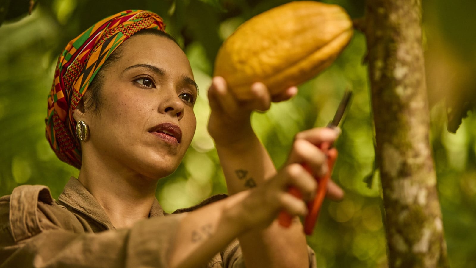 Bioeconomia em movimento no Brasil