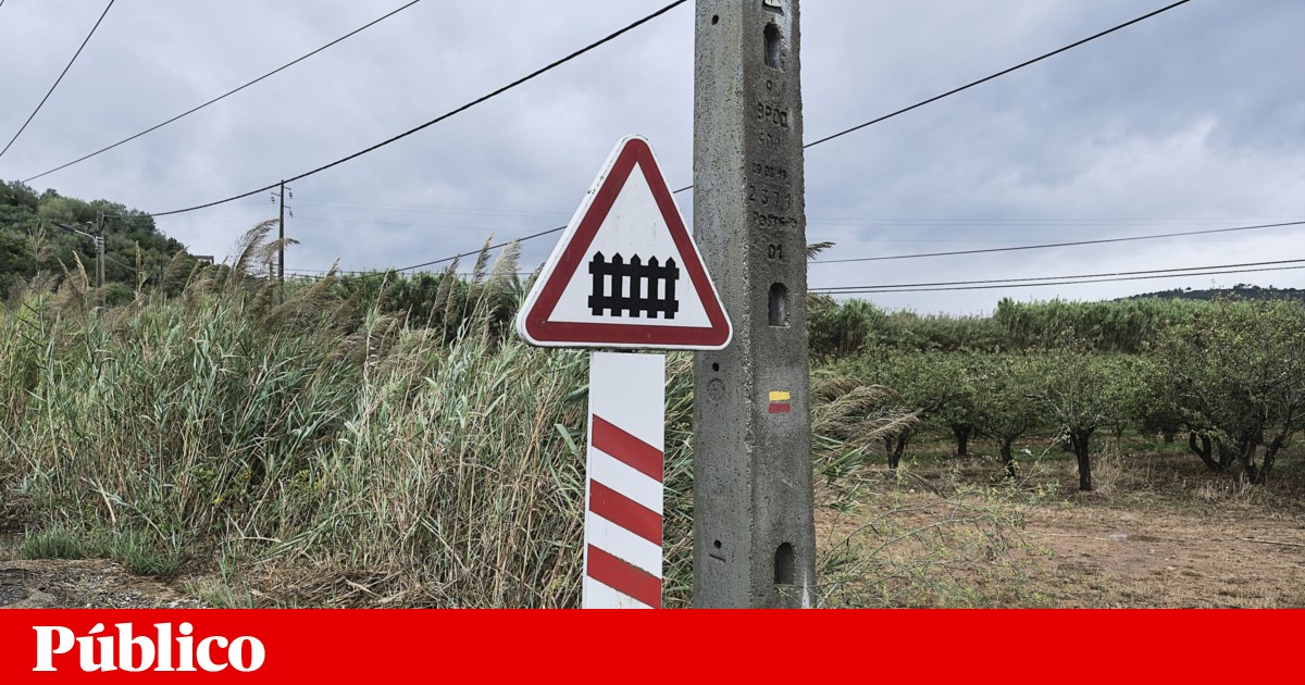Comboio descarrila na Linha do Oeste e causa dois feridos, circulação interrompida | Acidentes