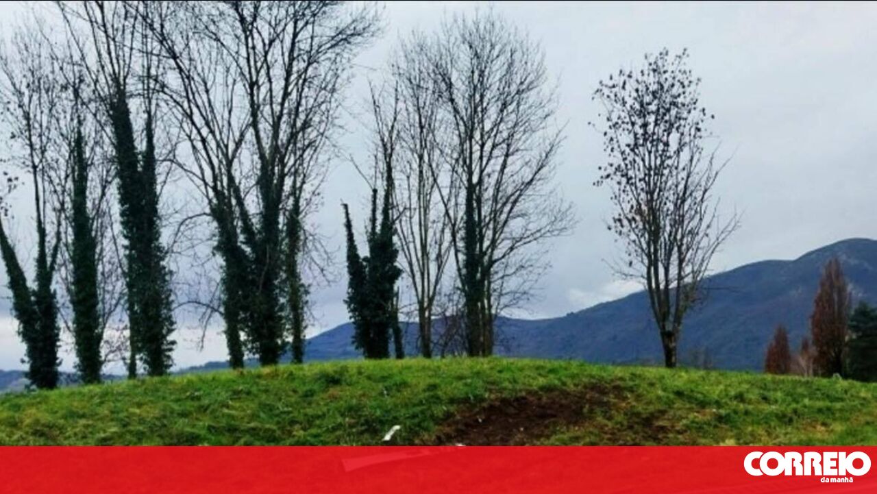 Despiste brutal mata em França quatro jovens portugueses residentes na Suíça. Vítimas são de Trancoso - Portugal