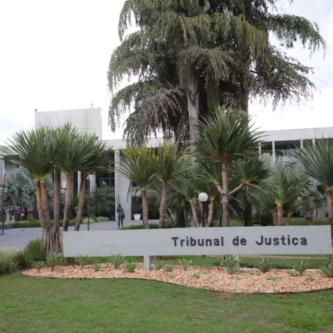 Empresa Indeniza Consumidor Após Acidente