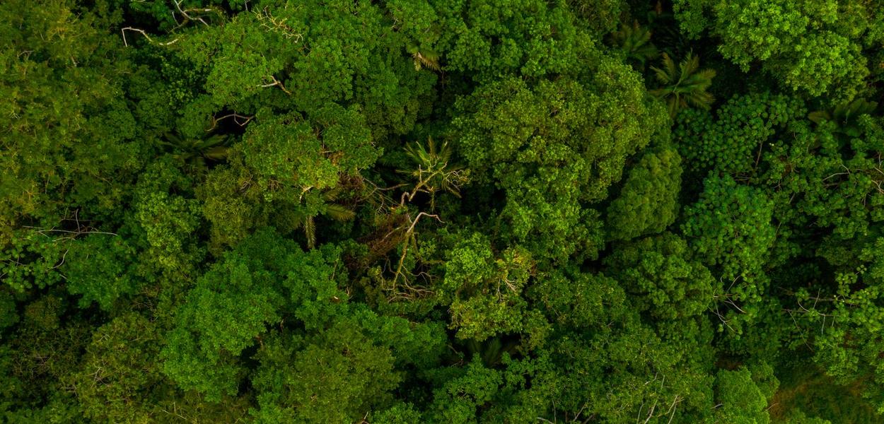 Petrobras e Shell lançam maior inventário de carbono do Brasil