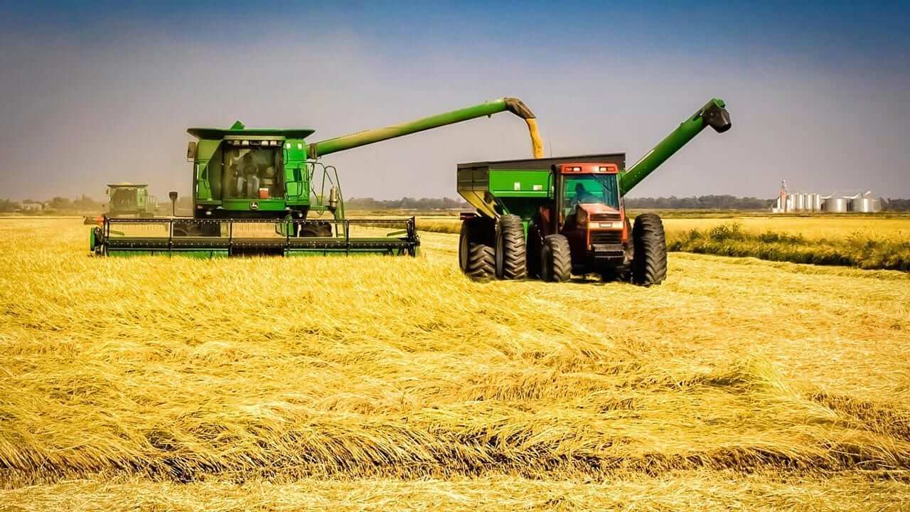 Semente de arroz impulsiona produção no Baixo Limpopo para 2025-2026