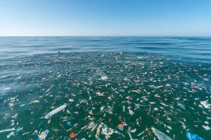 Quase metade dos ambientes aquáticos do planeta está gravemente contaminada por lixo