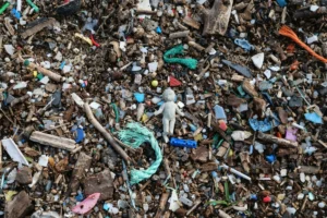 Bahia e ES têm a maior poluição por microplásticos do litoral brasileiro