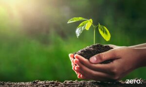 ZERO – Associação Sistema Terrestre Sustentável