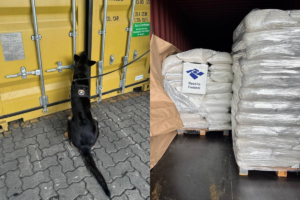 Cerca de 600 kg de cocaína são encontradas em contêineres em Santos – G1