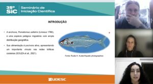 Pesquisa da Udesc Cead sobre contaminação de anchovas por microplástico é premiada