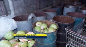 Ajudantes de comerciante ficam feridos após explosão de tonel inflamável no Grande Recife – JC