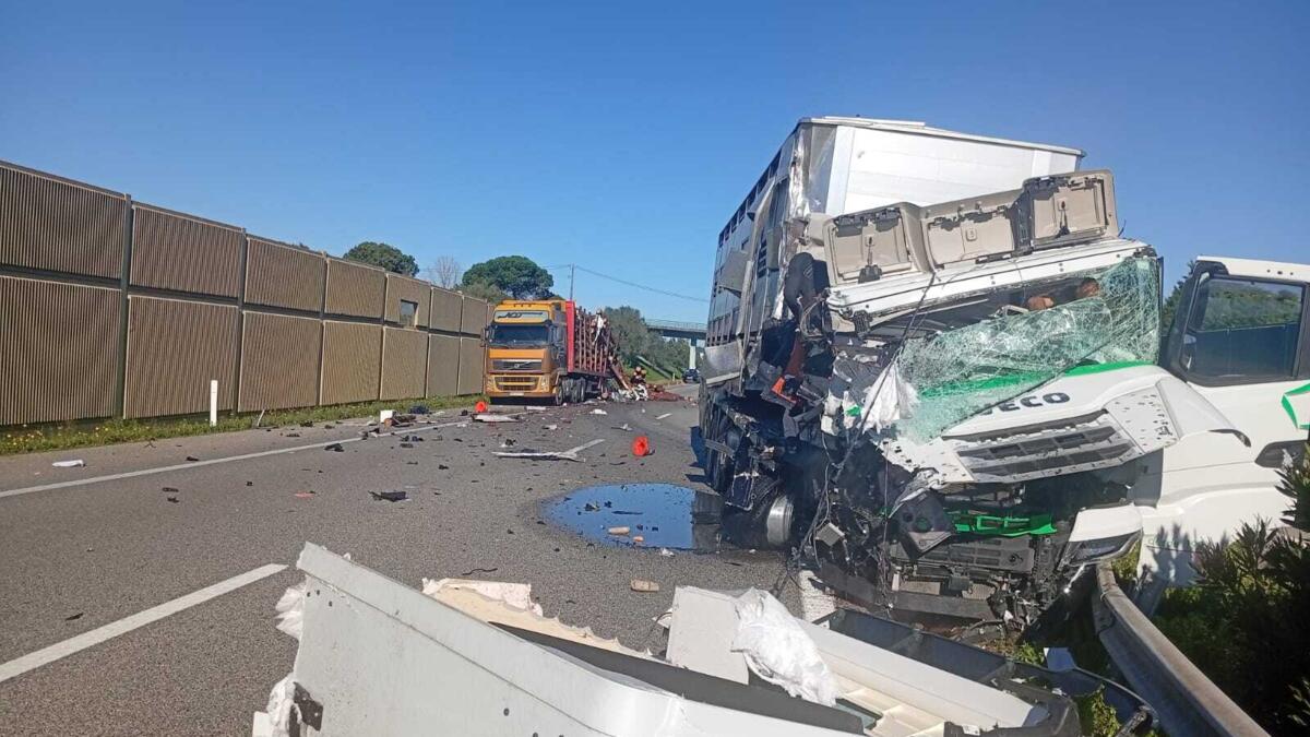 Jornal de Notícias Logo