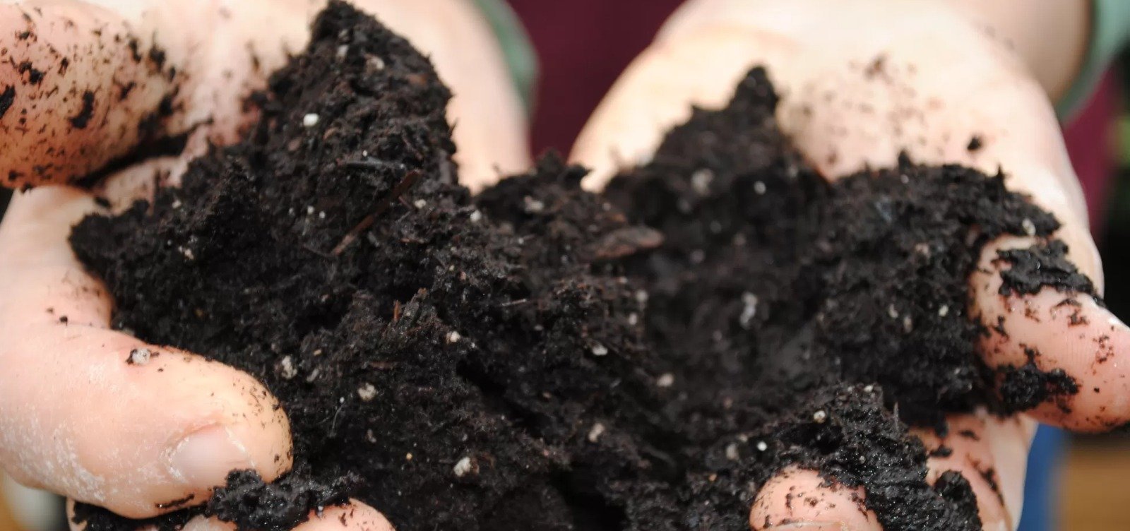 9 em cada 10 refugiados reconhecidos no Brasil nos últimos 5 anos são venezuelanos