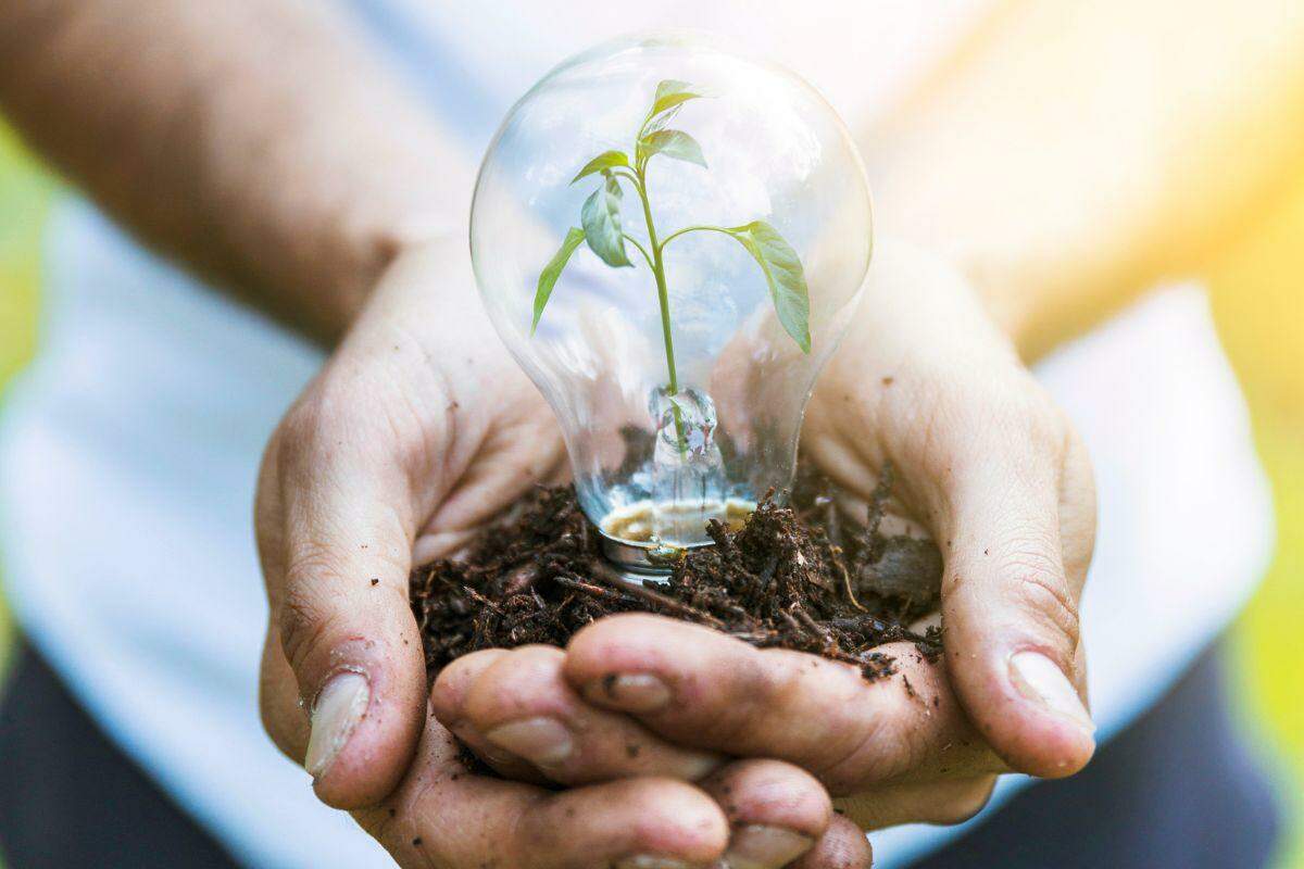 Sustentabilidade na prática: as atitudes simples que ajudam a transformar o mundo e a sociedade