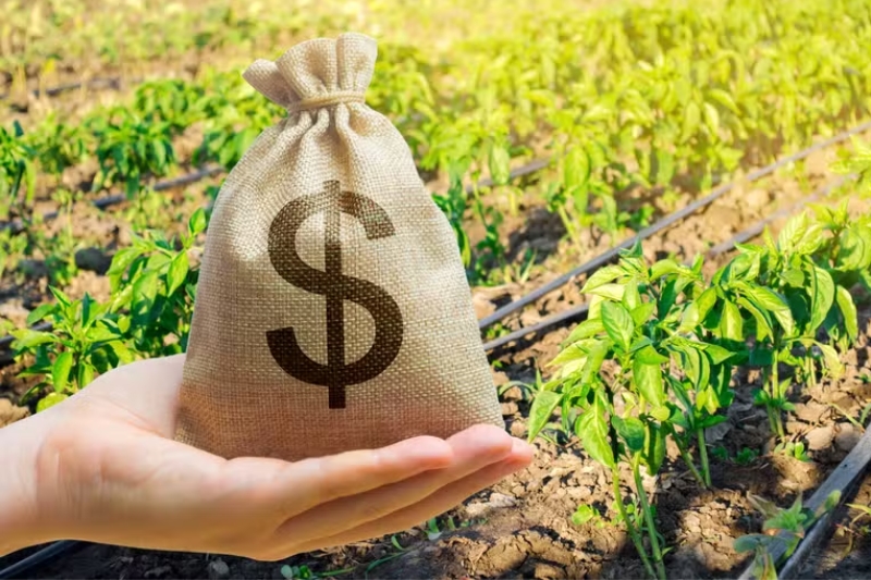 Viúva de trabalhador que morreu em acidente de trator receberá seguro DPVAT