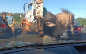 Touro em BMW, 'quase milionários': as notícias mais lidas de Ribeirão – G1 – Globo