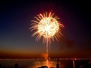 Fogos de artifício acarretam sofrimento físico e risco para animais