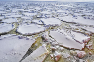 Terremotos no fundo do oceano podem impulsionar explosões de vida microscópica na Antártida