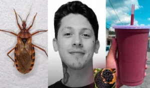 Jovem morre após tomar açaí contaminado com fezes