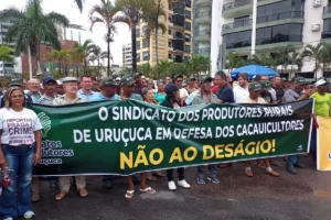 Produtores de cacau protestam em Ilhéus contra preços baixos e importação — Ilhéus Eventos