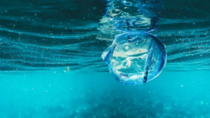 a transformação que preocupa cientistas