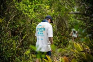 Cerveja Praya se alia ao Blue Keepers em defesa dos oceanos