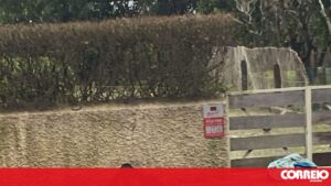 Motociclista gravemente ferido em acidente em Santa Maria da Feira – Portugal