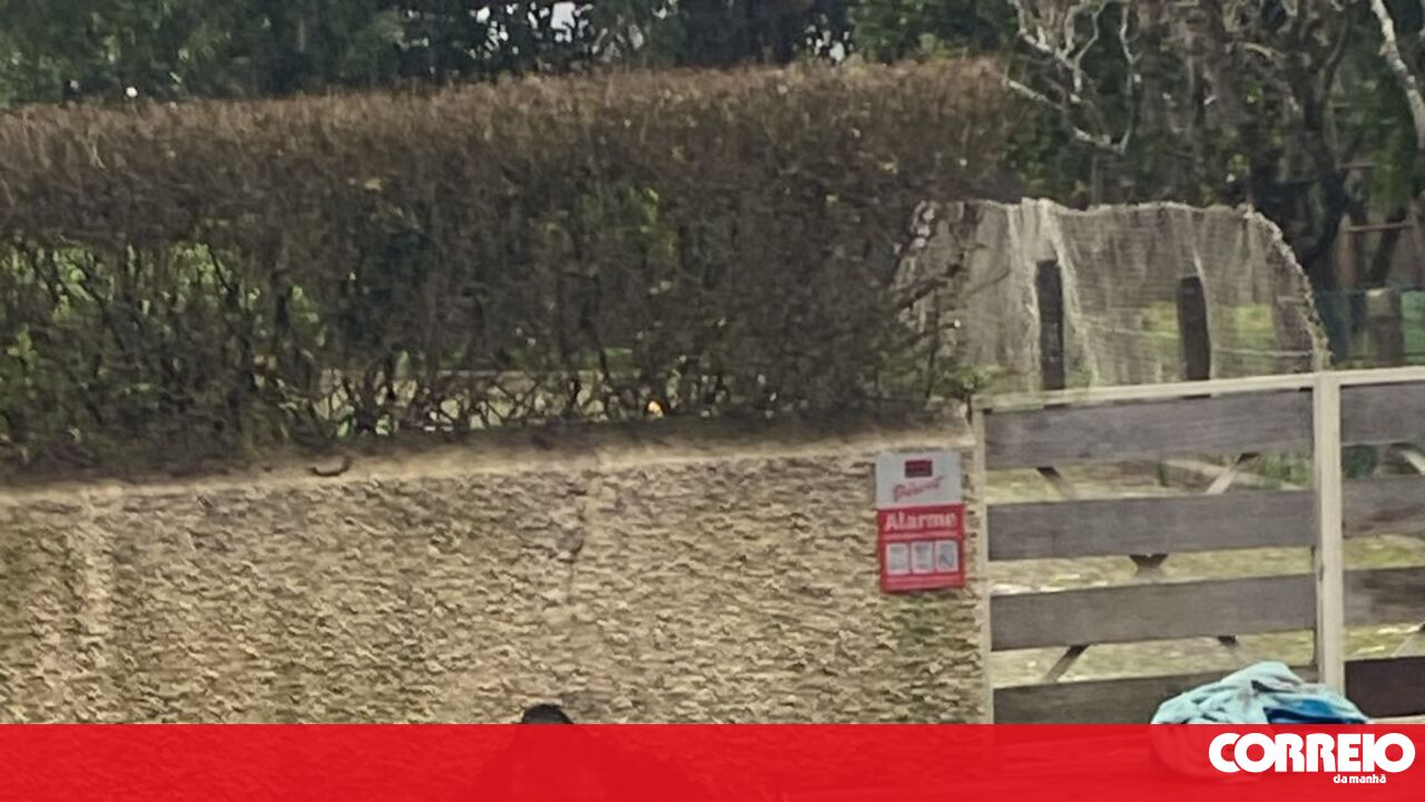 Motociclista gravemente ferido em acidente em Santa Maria da Feira - Portugal