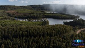 Rádio Capinzal – Irani conquista o 32º Prêmio Expressão de Ecologia, com dois projetos no setor papel e embalagem