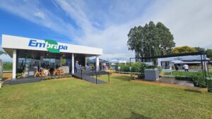 Visitantes da Expodireto conhecem tecnologias florestais e novos usos da erva-mate