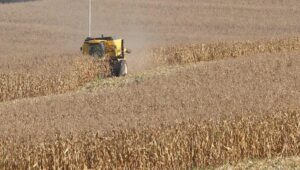 Estiagem no Paraná causa prejuízo de R$ 438 milhões