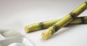 A Índia está considerando aumentar a taxa de mistura de etanol na gasolina para garantir a segurança energética.