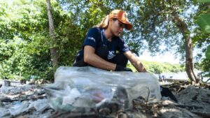 8 toneladas, 99% reaproveitado: o ESG da WSL no Brasil – Promoview