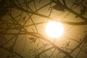 Alerta para desastre térmico no Brasil em 2026: entenda o fenômeno