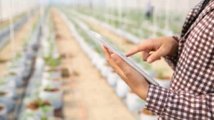 Banco Mundial e IICA vão destinar US$ 3 bilhões para conectividade no campo – TELETIME News