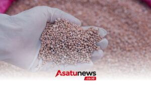 Gangguan Selat Hormuz Picu Risiko Krisis Pangan Dunia, Dilansir dari Money