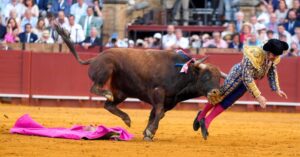 Toureiro é chifrado por trás durante evento na Espanha; veja vídeo