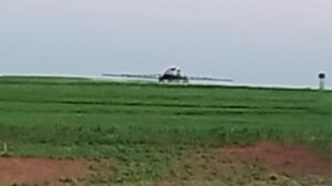 Famílias do MST-PR denunciam intoxicação por agrotóxicos após fazendeiro pulverizar a área; vídeo