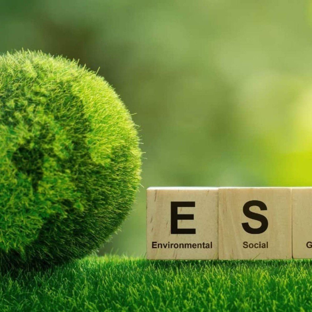 Adequação aos padrões ESG é uma tendência nas empresas