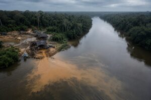Mercúrio: o veneno invisível no prato de bilhões – Oceano