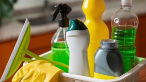 Entenda como funciona regras sanitárias no país