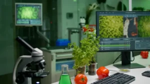 Bioeconomia pode movimentar mais de R$ 700 bilhões por ano no Brasil até 2032