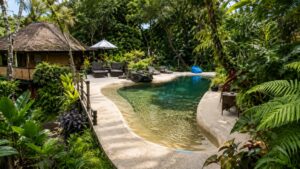 Familia construye piscina natural sin cloro y sin lodo; el agua es tan cristalina que peces y camarones limpian el fondo por sí solos y los huéspedes reciben una “manicura de pez” gratis.