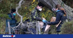 Argentina alarga análise de roedores a mais uma província — DNOTICIAS.PT