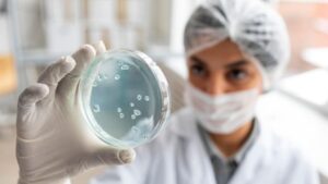 Humap-UFMS alerta para riscos da Salmonella e reforça cuidados na manipulação de alimentos – Fronteira News