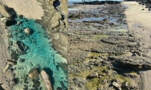 Praia de São Tomé de Paripe contaminada por substâncias químicas; empresas multadas em R$ 70 milhões.