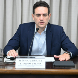 Conselho da FIEMG debate avanços no licenciamento ambiental e desafios regulatórios