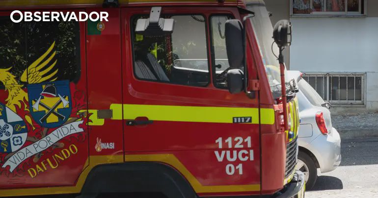 Mariparque garante segurança dos utentes após acidente – Observador