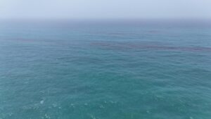 Vazamento de Petróleo no Golfo Pérsico Ameaça Se Tornar o Pior em Anos, Alertam Agências